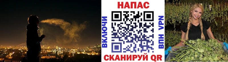 Что такое Стерлитамак Альфа ПВП Псилоцибиновые грибы Меф мяу мяу Гашиш Кокаин