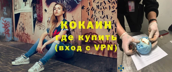 ECSTASY Горняк
